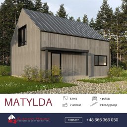 Element House - Wizualizacja nowoczesnego domu jednorodzinnego z szarymi, pionowo ułożonymi deskami elewacyjnymi, ciemnym dachem z wyraźnymi liniami i małym zadaszeniem nad wejściem, otoczonego zielenią i drzewami.