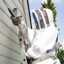 Pogotowie Domowe - Osoba w białym kombinezonie ochronnym i masce na drabinie, aplikująca preparat za pomocą lancy na elewację budynku.