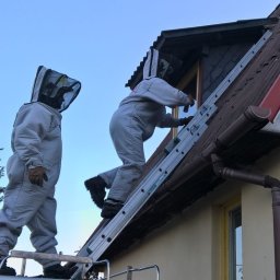 Dezynsekcja i deratyzacja Łódź 4