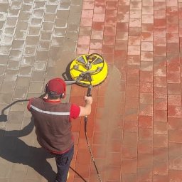 Dezynsekcja i deratyzacja Łódź 1