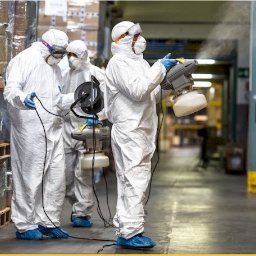 Dezynsekcja i deratyzacja Łódź 3