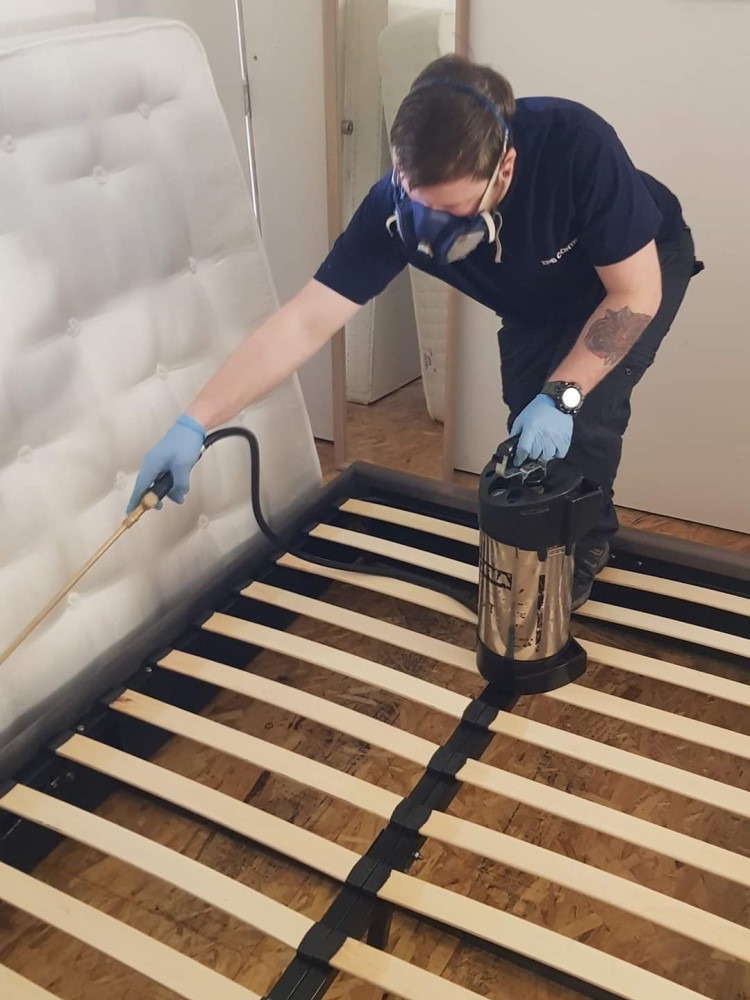 Dezynsekcja ramy łóżka: pracownik w masce i rękawicach aplikuje preparat z metalowego opryskiwacza na drewnianą konstrukcję, obok materac.