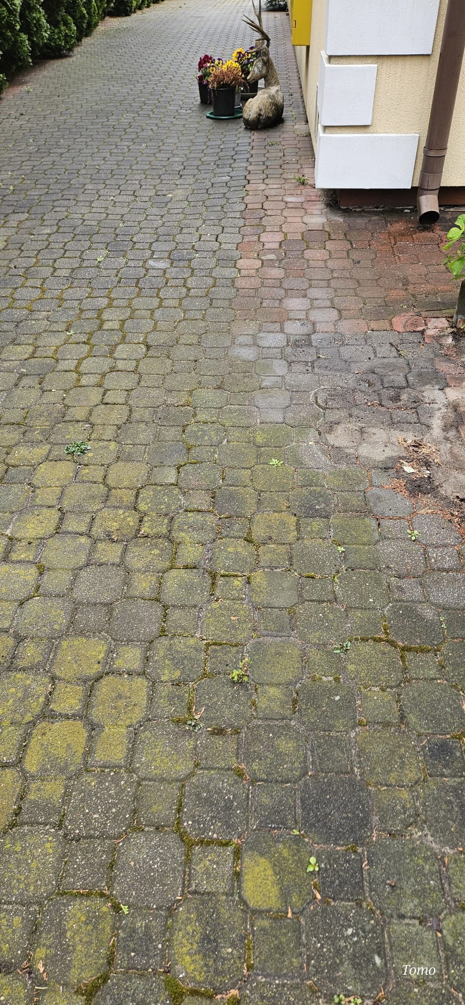 Przed myciem przykład nr 2