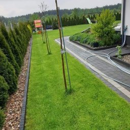 Vip kompleks - Utrzymany trawnik z młodymi drzewkami, obrzeżem z kamieni i kostki, ścieżką z kostki brukowej oraz widocznym systemem nawadniania przy ścianie domu.