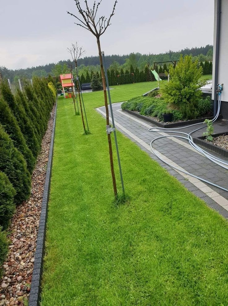 Utrzymany trawnik z młodymi drzewkami, obrzeżem z kamieni i kostki, ścieżką z kostki brukowej oraz widocznym systemem nawadniania przy ścianie domu.