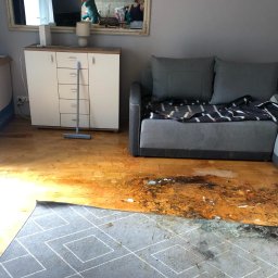 Clean - Pokój po zalaniu: zniszczona podłoga drewniana, plamy na dywanie w geometryczne wzory, szary narożnik z kocem w paski, biała komoda z lustrem, na którym widać odbicie osoby robiącej zdjęcie.