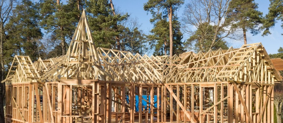 dom szkieletowy konstrukcja