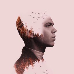 Sofiia Pochta - Podwójna ekspozycja: profil mężczyzny z nałożonym motywem lasu iglastego i stada ptaków w locie na jasnoróżowym tle.