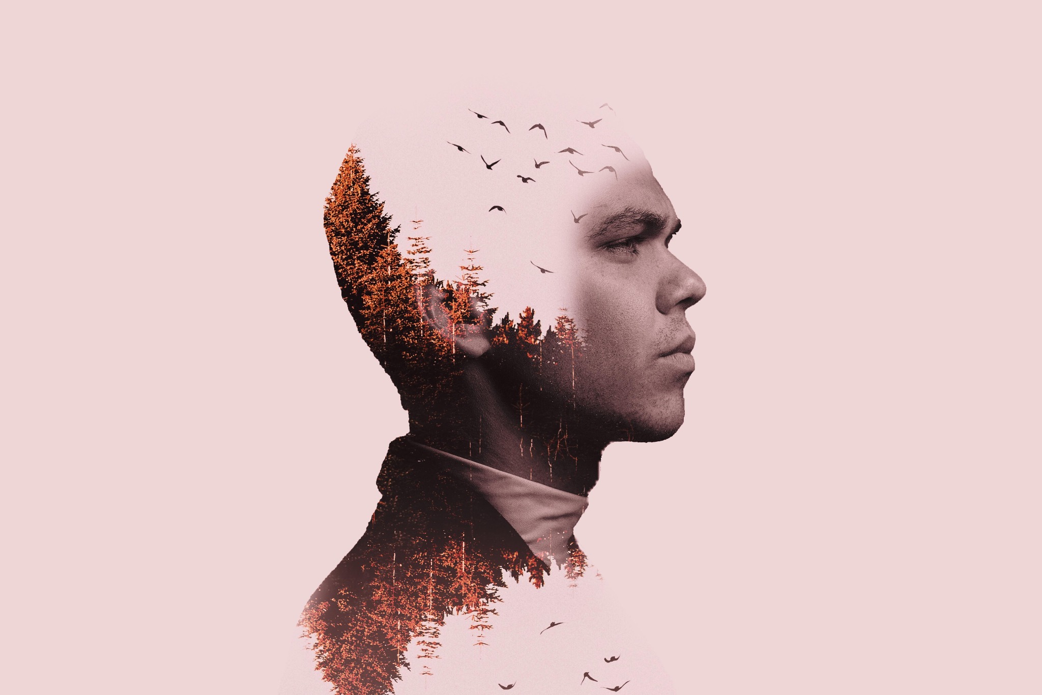 Podwójna ekspozycja: profil mężczyzny z nałożonym motywem lasu iglastego i stada ptaków w locie na jasnoróżowym tle.