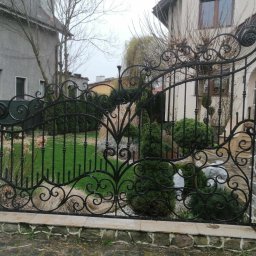 Łukasz Puchalski - Ozdobna, czarna brama kuta z motywami roślinnymi, zamontowana na kamiennych słupkach, z widokiem na zadbany ogród i domy w tle.