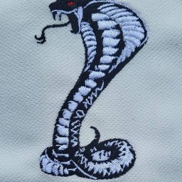 nie daj się pokąsać shelby gt 500