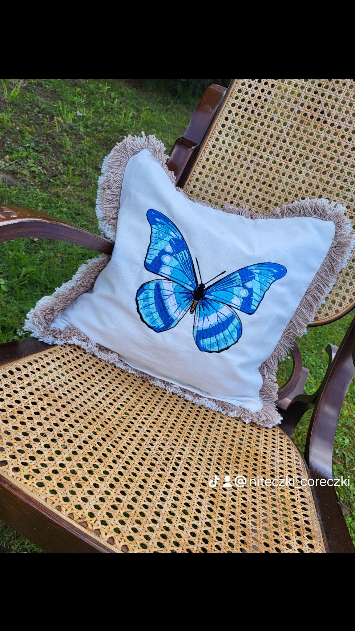 Motyl zamieszkał w ogrodzie