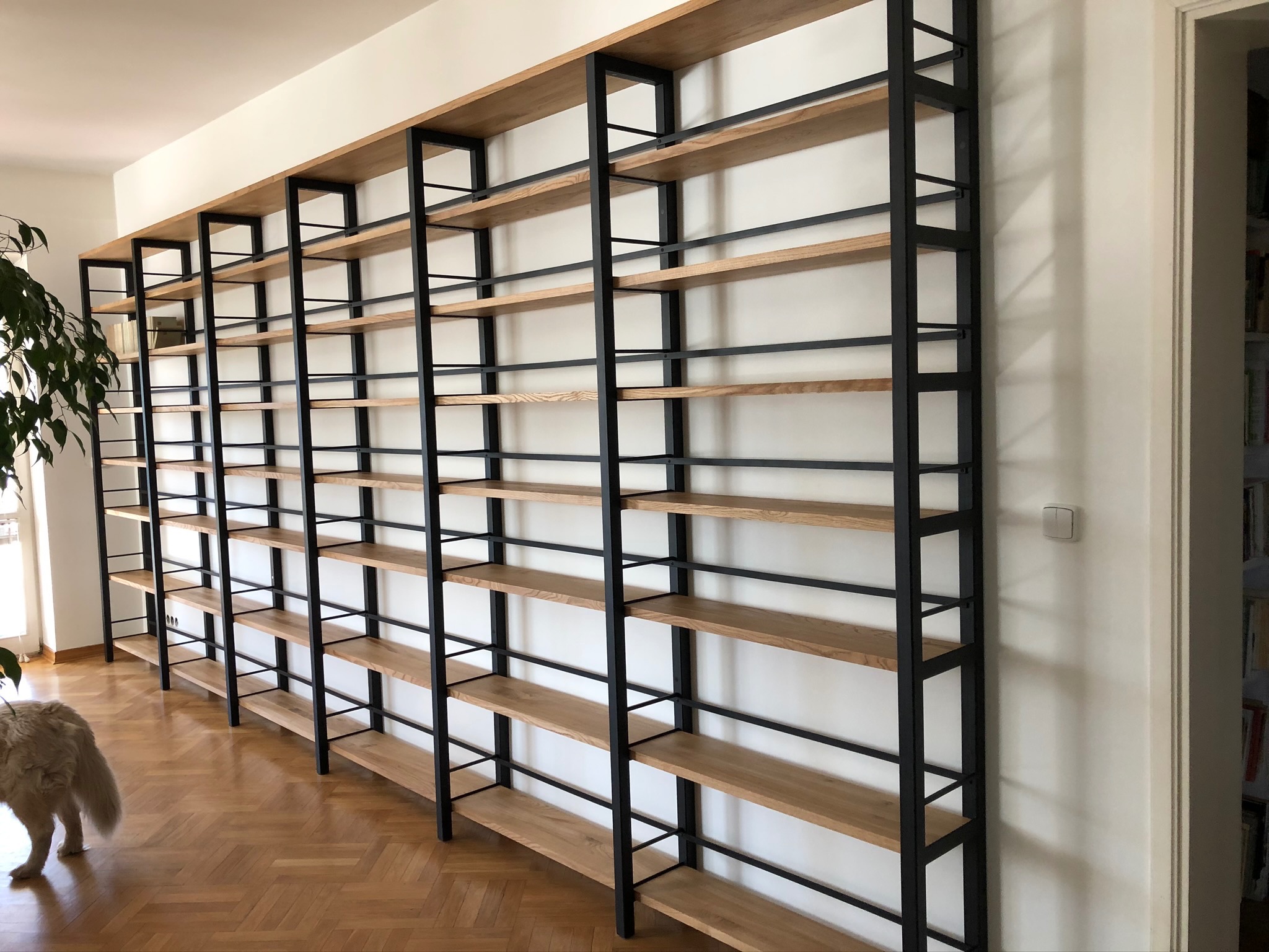 Duży, nowoczesny regał na książki z drewnianymi półkami i czarną metalową konstrukcją, ustawiony na parkiecie w jasnym pomieszczeniu, z widocznym fragmentem rośliny i psa w lewym dolnym rogu.