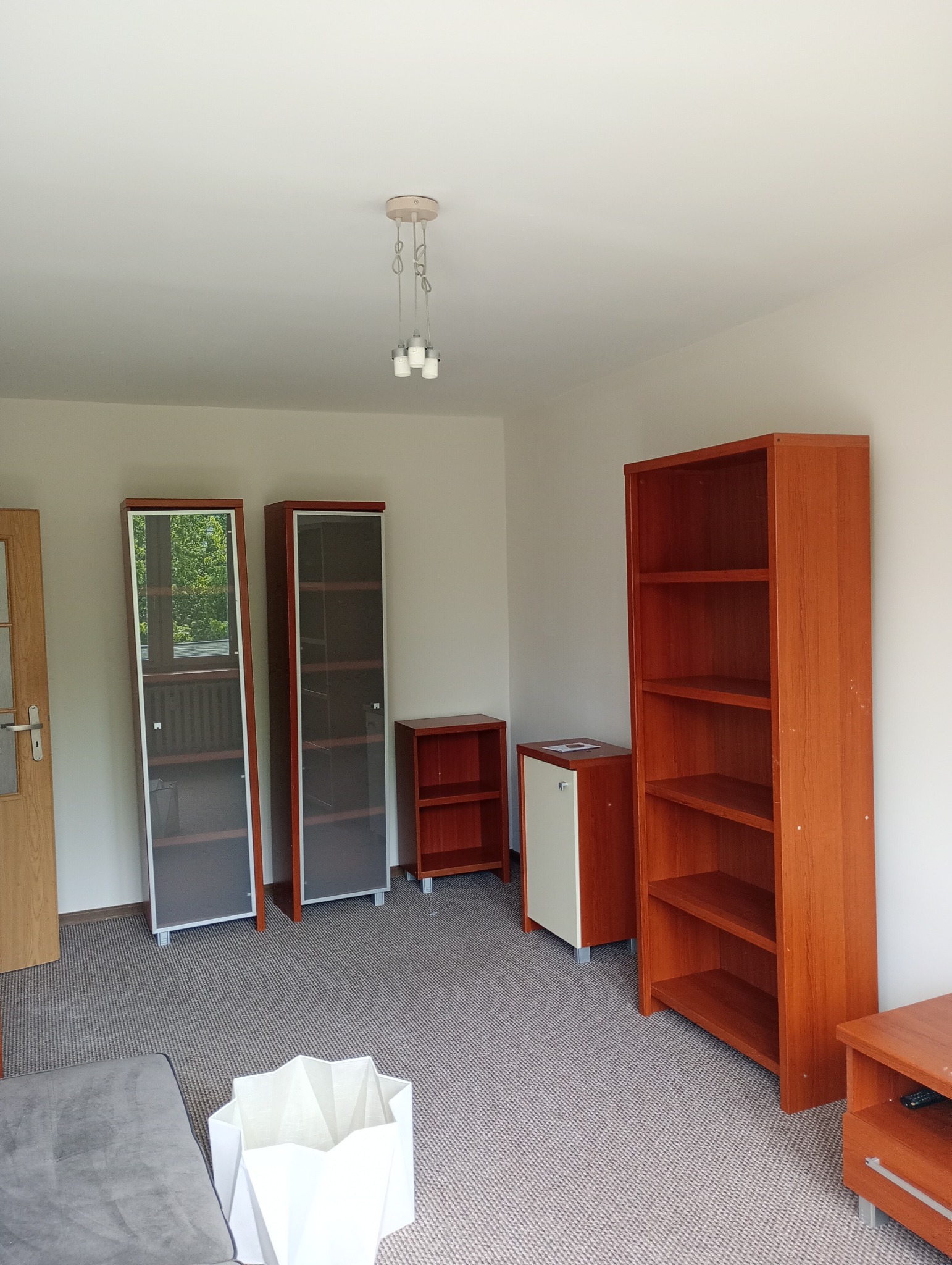 Pokój z nowymi meblami: wysokie regały z przeszkleniami, drewniane półki, dywan w neutralnym kolorze, nowoczesna lampa sufitowa.