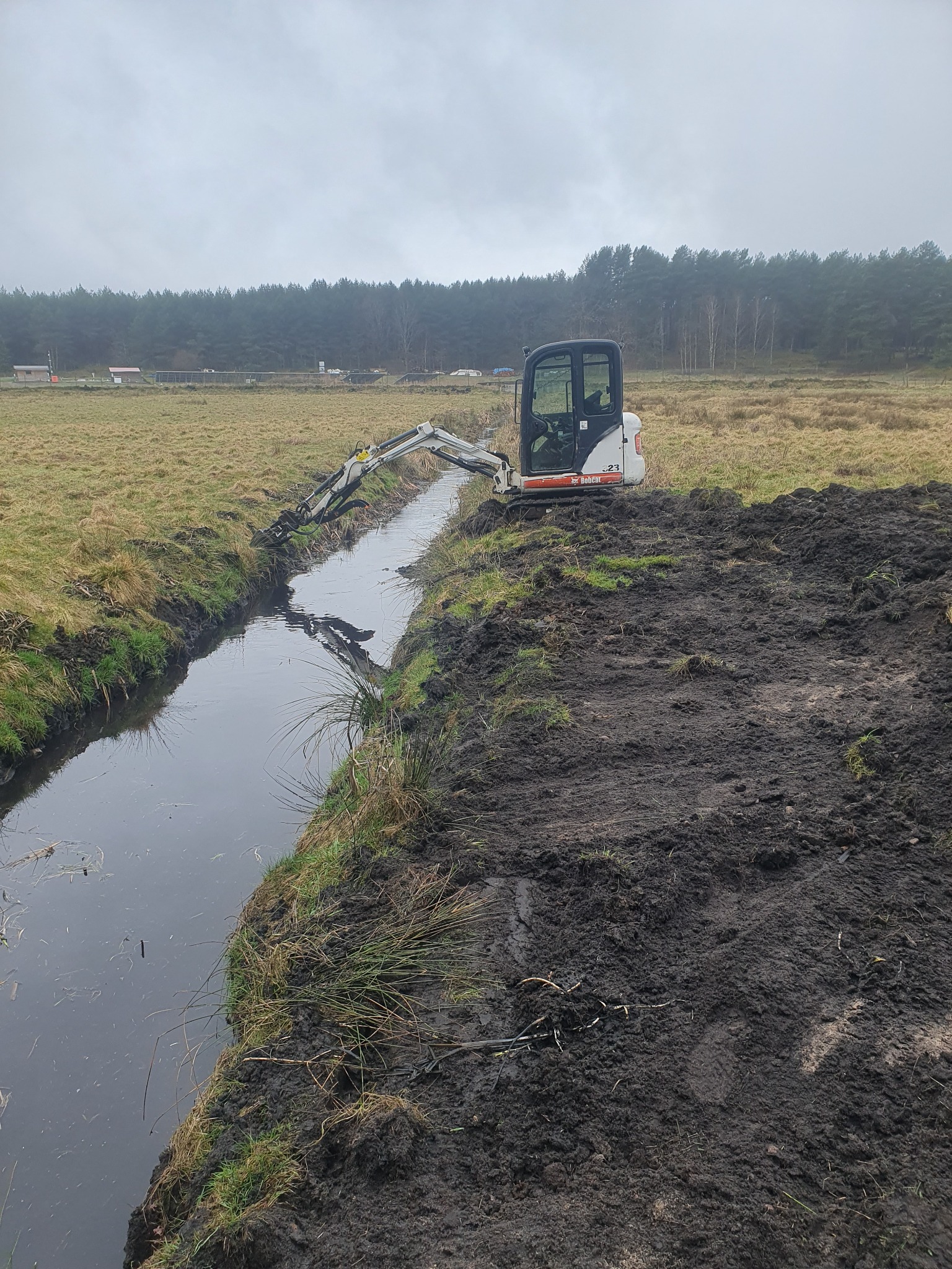 Mini koparka Bobcat na brzegu rowu melioracyjnego, wykopana ziemia obok, w tle łąka i las
