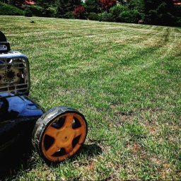 Zakładanie ogrodów Skierniewice 4