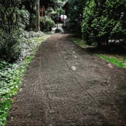 Przygotowana gleba pod trawnik z widocznymi śladami po maszynie, otoczona zielenią i drzewami, z domem w tle.