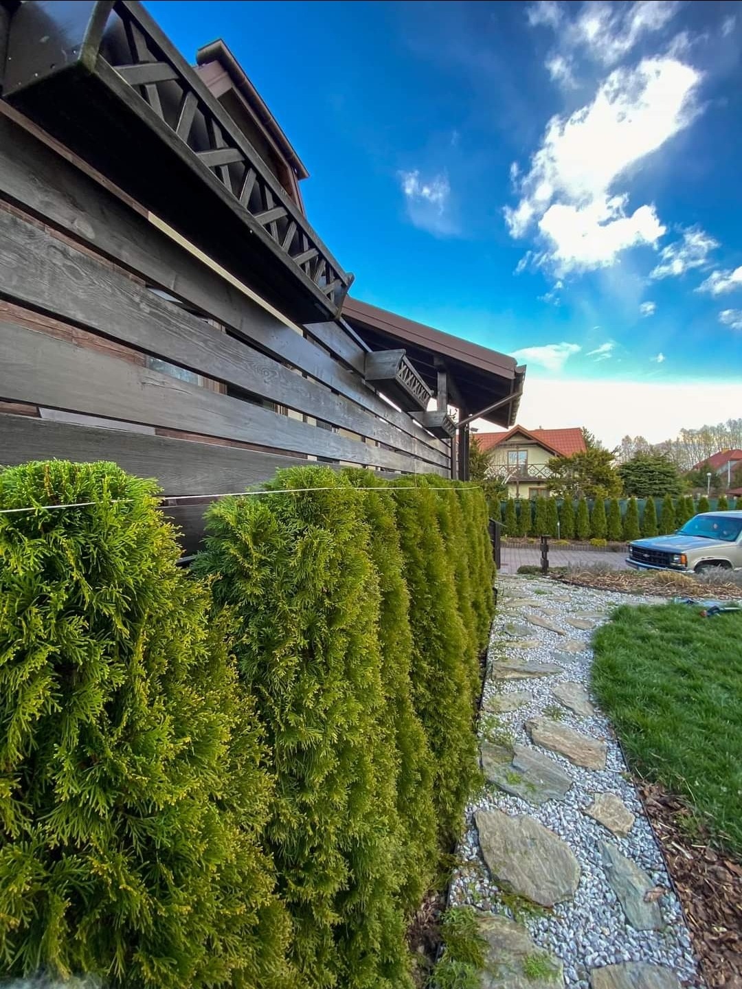 Żywopłot z tuj szmaragdowych wzdłuż drewnianego ogrodzenia, ścieżka z kamieni prowadząca do domu, błękitne niebo z chmurami w tle.