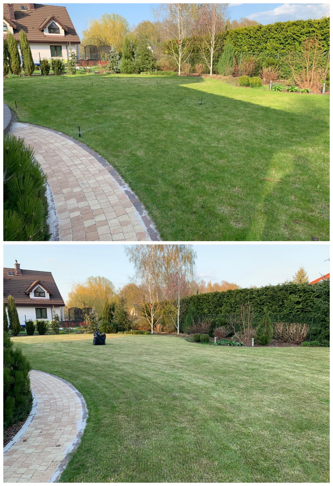 Porównanie trawnika przed i po zabiegu pielęgnacyjnym w Skierniewicach: góra - trawa przed, dół - trawa po zabiegu z widocznym workiem zebranych resztek trawy.