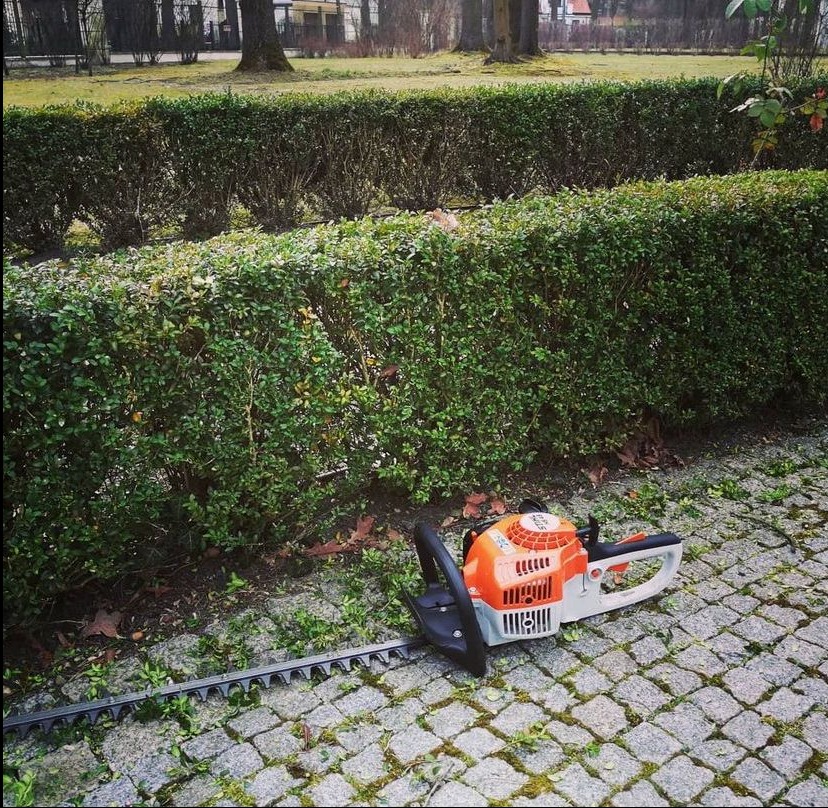 Elektryczne nożyce do żywopłotu marki Stihl leżące na kostce brukowej przed równo przyciętym żywopłotem z bukszpanu.