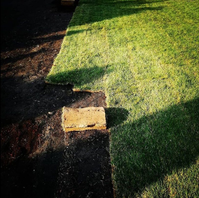 Układanie trawy z rolki: fragment ułożonej, soczystej zieleni sąsiaduje z przygotowanym podłożem i kostką trawy w oczekiwaniu na montaż.