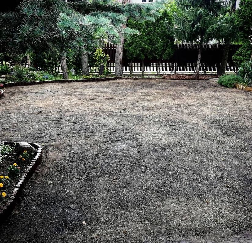 Przygotowany teren pod przyszły trawnik, obrzeża z kostki, widoczne drzewa iglaste w tle.