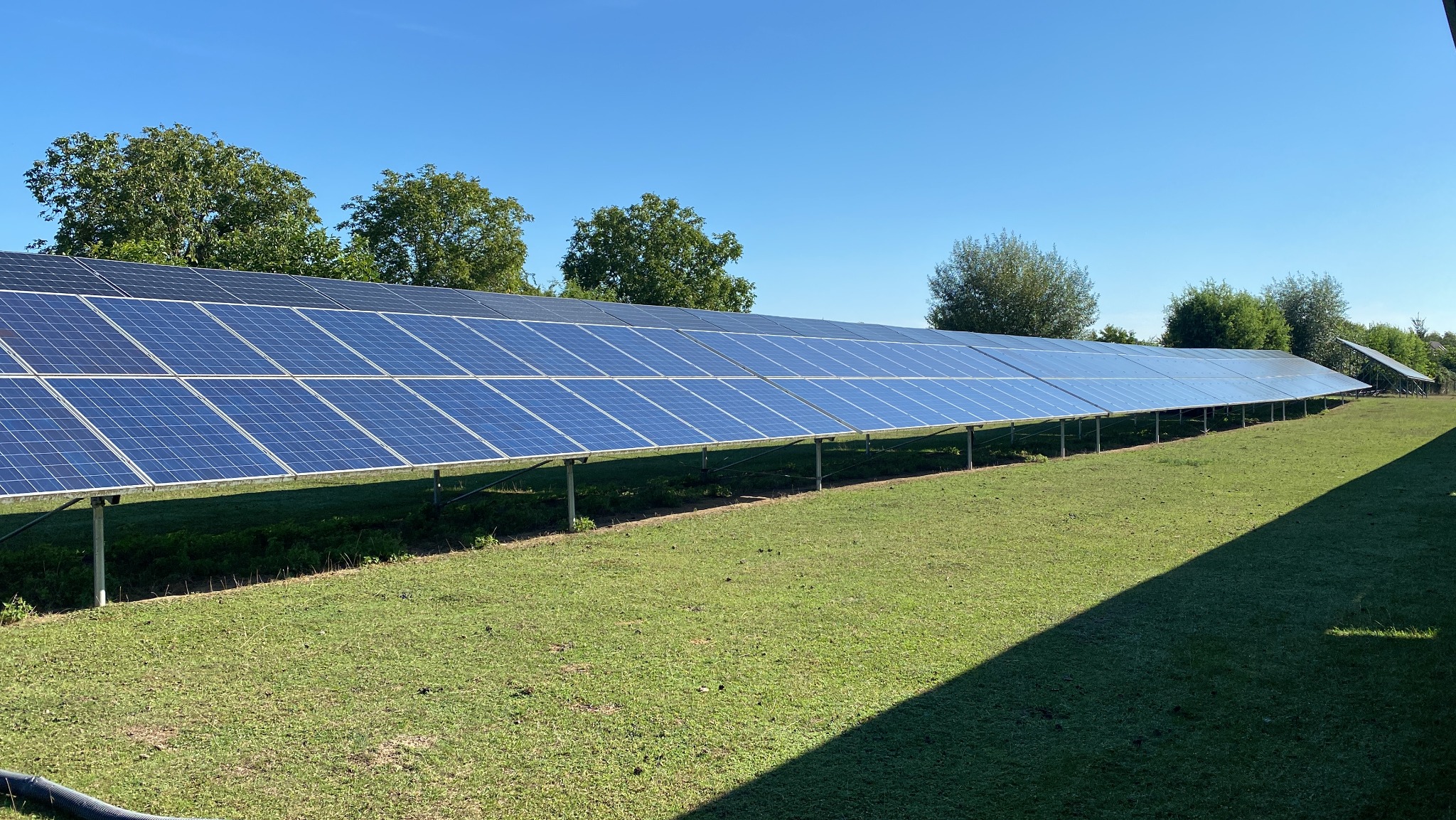 Długi rząd paneli słonecznych ustawionych na zielonej trawie pod błękitnym niebem z drzewami w tle, widoczny cień na trawie z prawej strony kadru.