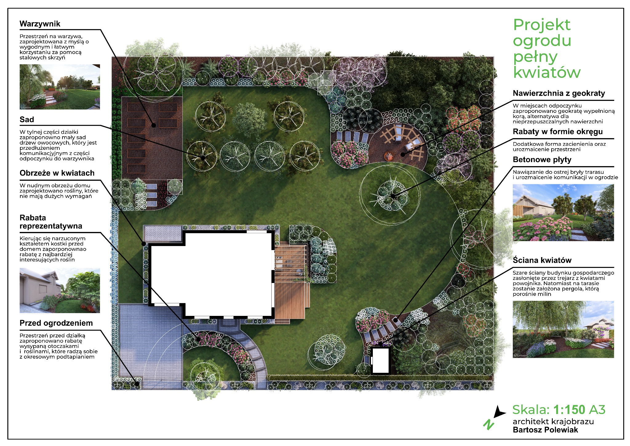 Projekt koncepcyjny ogrodu pełnego kwiatów.