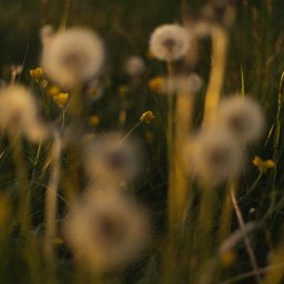 Fotografia produktowa Poznań 2