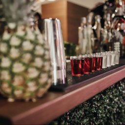 Adam Oberda - Food Group - Bar z ananasem w tle, metalowym shakerem i rzędem kieliszków z czerwonym napojem, udekorowany zielonymi roślinami.