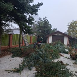 Zakładanie ogrodów Łysomice 3