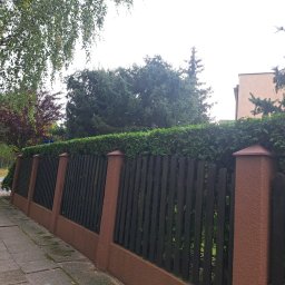 Zakładanie ogrodów Bydgoszcz