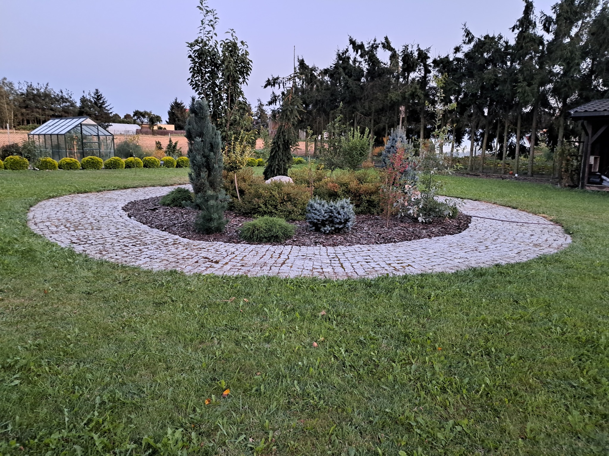 Okrągła rabata z kamienną obwódką, obsadzona różnorodnymi krzewami iglastymi i liściastymi, z widocznym kamieniem centralnym i korą, na tle zadbanego trawnika i szklarni.