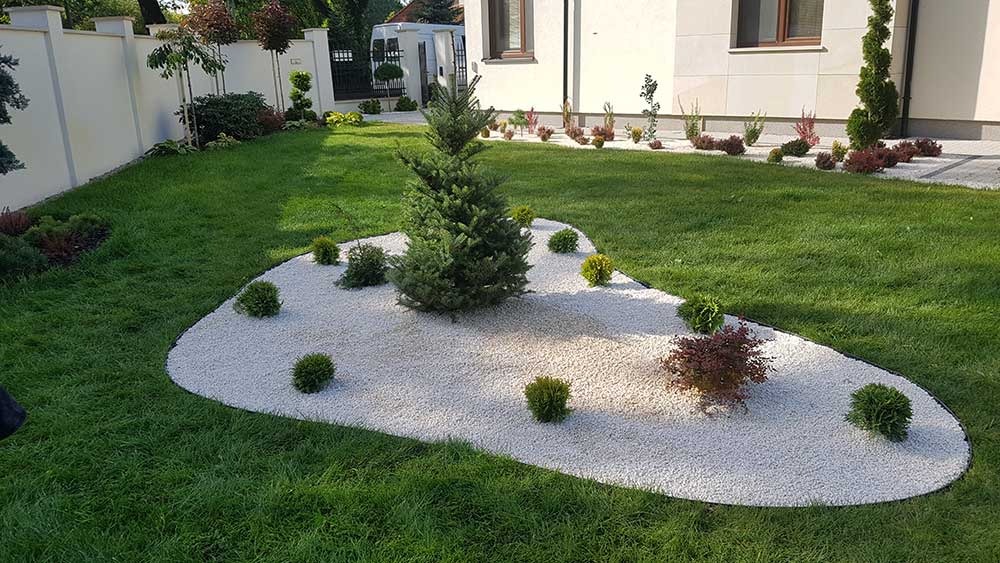 Ogród przydomowy z równo przystrzyżonym trawnikiem, rabatą wysypaną białym grysem i nasadzeniami z iglaków i krzewów liściastych, widok z poziomu trawy.