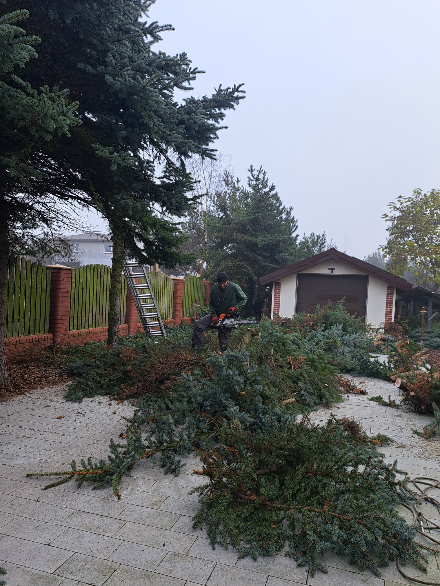 Mężczyzna w ogrodzie tnie gałęzie świerku piłą spalinową. W tle garaż, drabina oparta o drzewo i zielony płot. Ścięte gałęzie leżą na brukowanym podłożu.