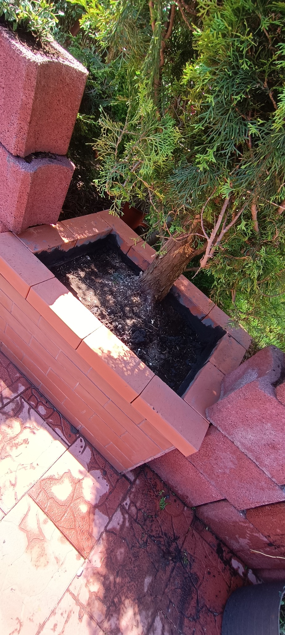 Kanciasta donica z cegły z ziemią i iglakiem, widoczna z góry na tle wzorzystego chodnika. Część donicy nieukończona, z cegłami obok. Słoneczny dzień.