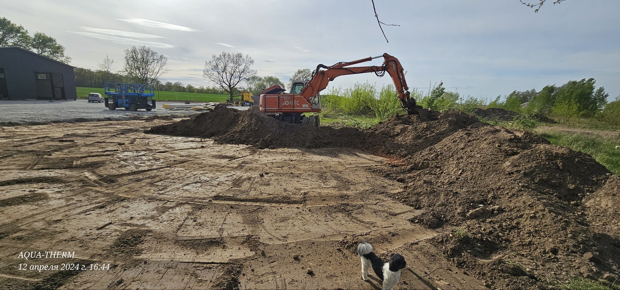 Pomarańczowa koparka nabiera ziemię na placu budowy, w tle widoczny podnośnik, budynek gospodarczy oraz mały pies rasy Shih Tzu.