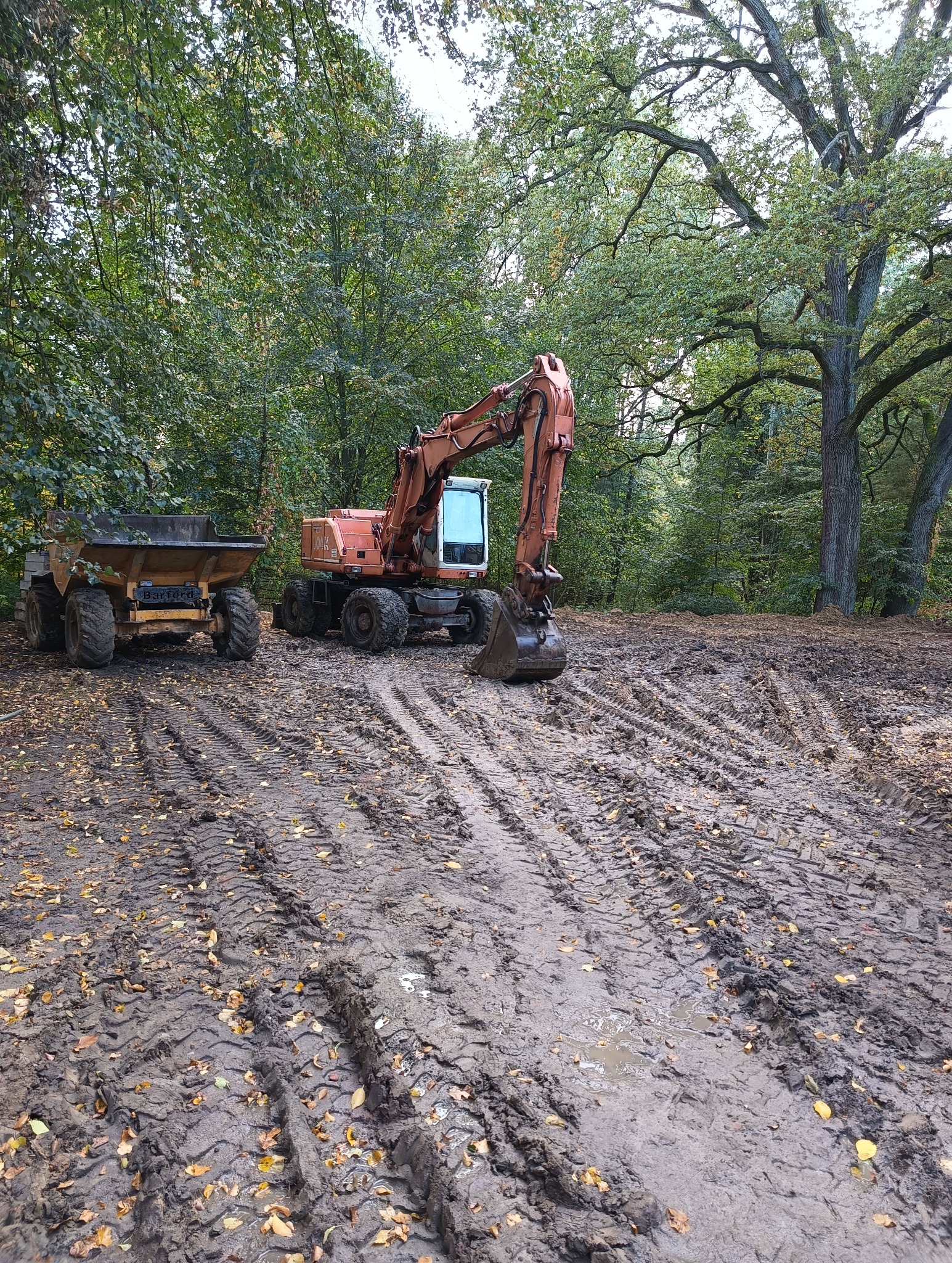 Pomarańczowa koparka kołowa i wywrotka na błotnistym terenie z liśćmi, otoczone drzewami.