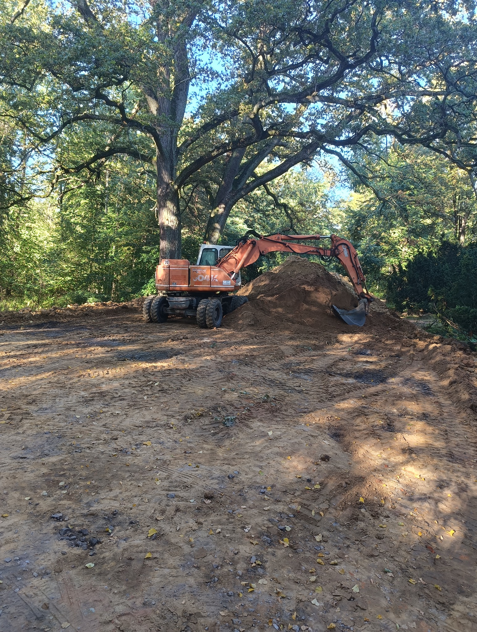Pomarańczowa koparka kołowa na tle drzew podczas prac ziemnych, z widocznym stosem ziemi i śladami opon na gruncie.