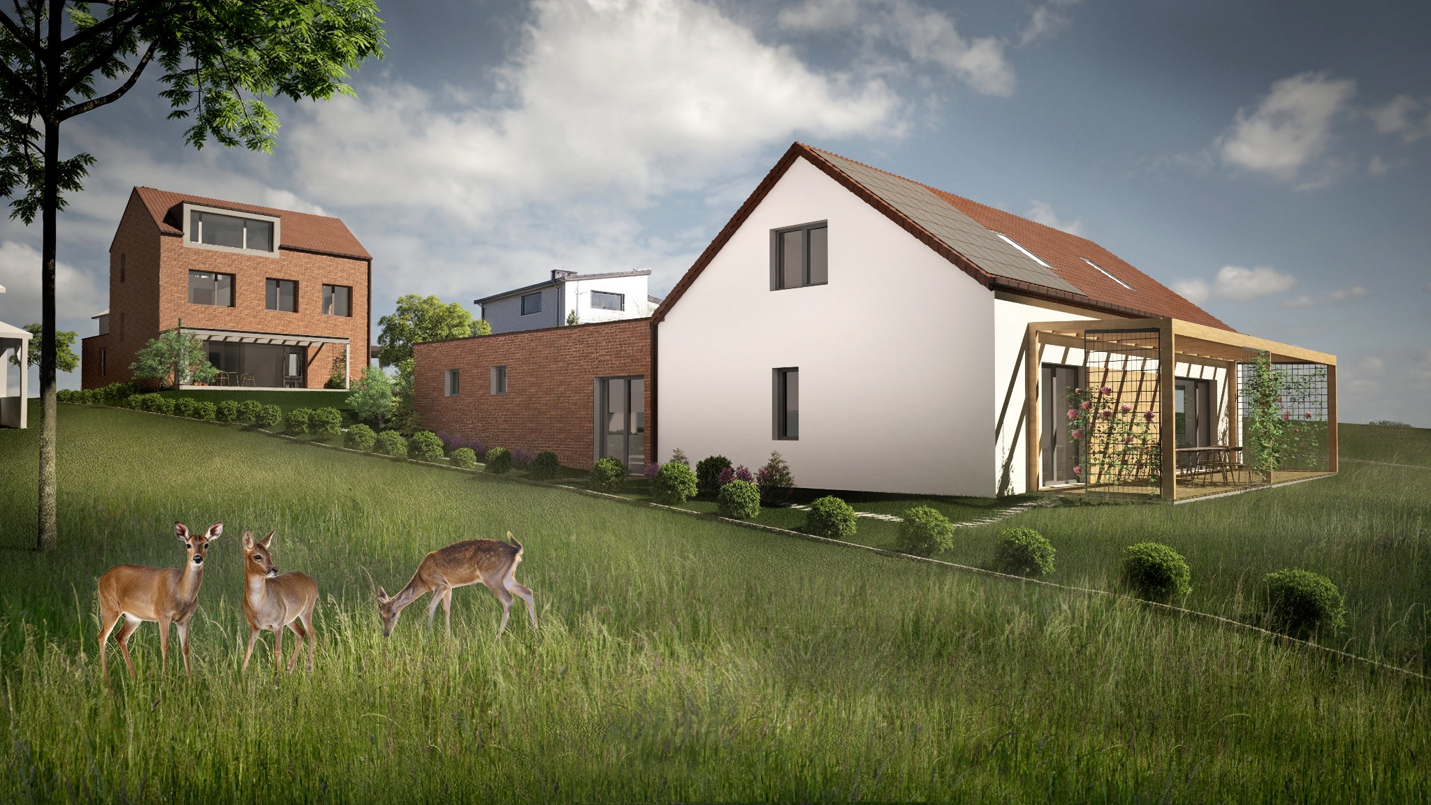 Wizualizacja dwóch domów (w budowie)