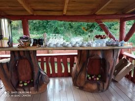 Stół cateringowy na zewnątrz, udekorowany w stylu rustykalnym z podstawami imitującymi pnie drzew, na blacie szklanki, napoje, owoce i słodkości, w tle zielony krajobraz.