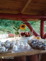 Stół nakryty białymi filiżankami, talerzykami i koszykiem jabłek z dekoracją słonecznika, pod drewnianą konstrukcją z widokiem na zieleń w tle.