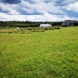 San Ran - Rozległe pole z wysoką trawą i kwitnącymi koniczynami, w tle szklarnia, budynek gospodarczy i linia drzew pod pochmurnym niebem.