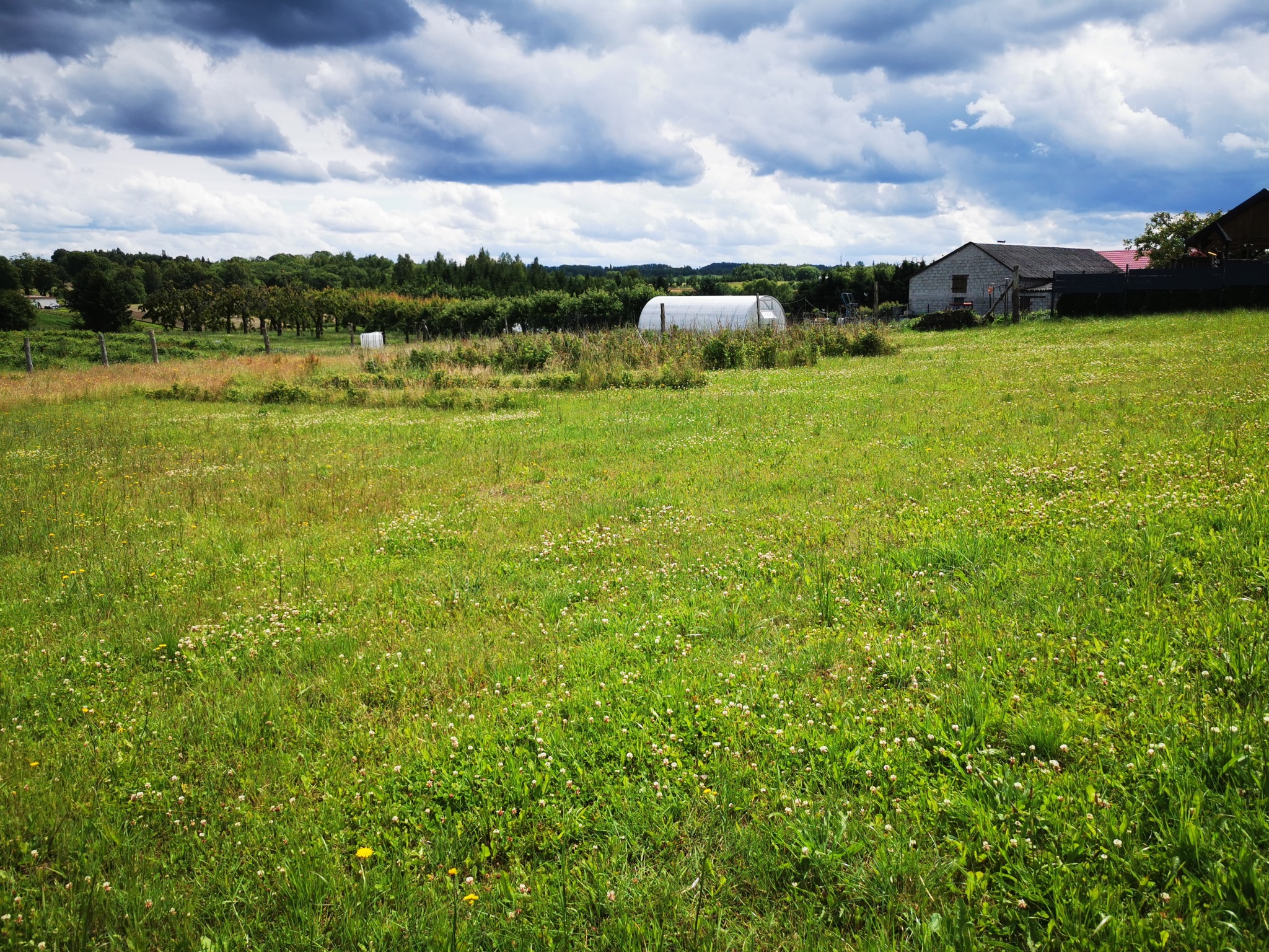 Rozległe pole z wysoką trawą i kwitnącymi koniczynami, w tle szklarnia, budynek gospodarczy i linia drzew pod pochmurnym niebem.