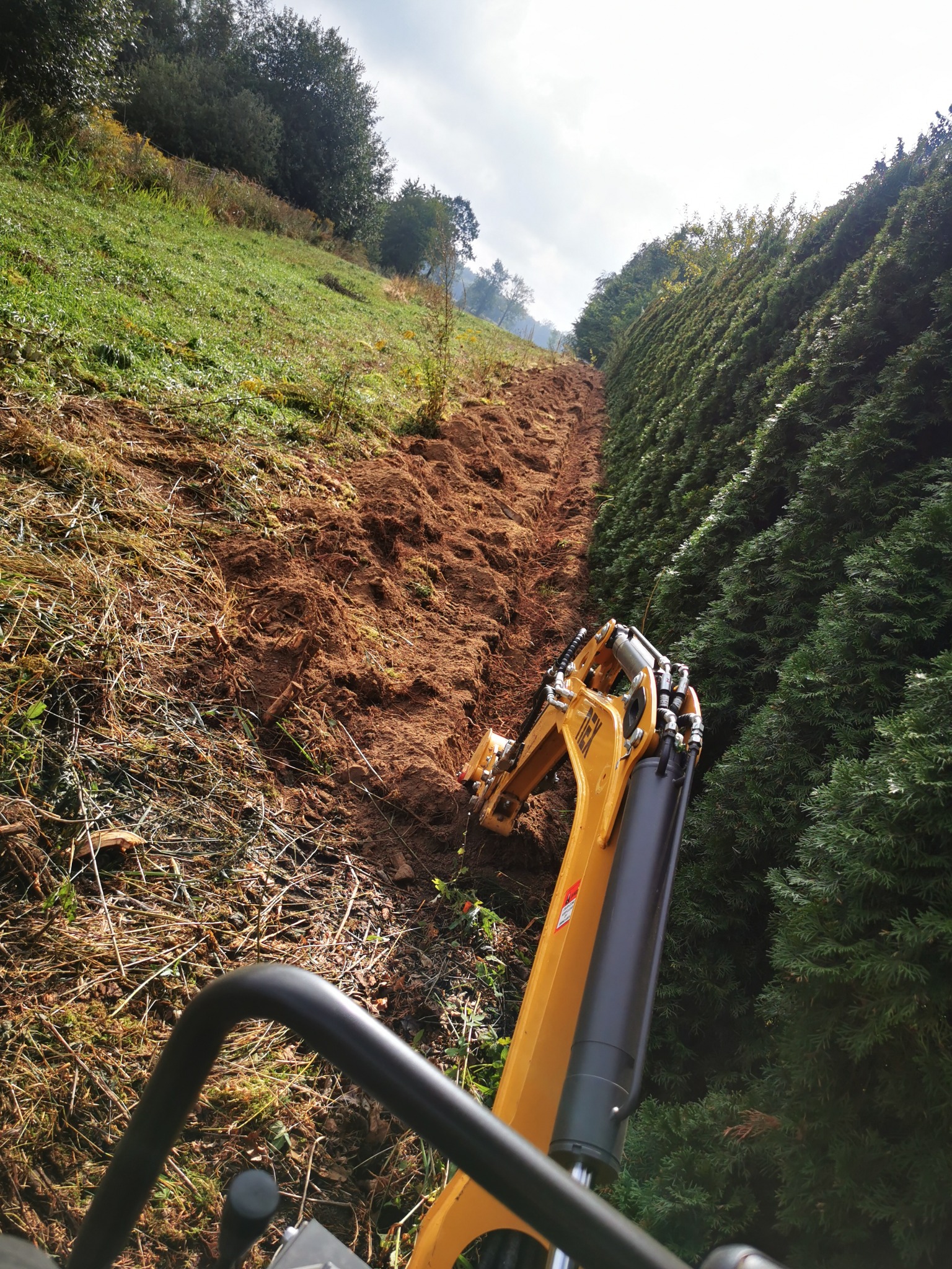 Żółta minikoparka na zboczu wzgórza, przygotowująca teren pod nasadzenia, widok z perspektywy operatora, w tle wysokie tuje.
