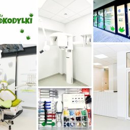 Stomatologia zachowawcza, ortodoncja, chirurgia stomatologiczna, leczenie kanałowe, stomatologia estetyczna, bonding, ICON.