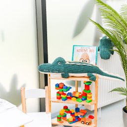 Krokodylki Dental Studio - stomatologia dziecięca i dla dorosłych w Poznaniu. Specjaliści m. in. z zakresu pedodoncji.