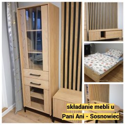 Pan Wózek Marek Sauć - Wysokiej Klasy Malarz Rybnik