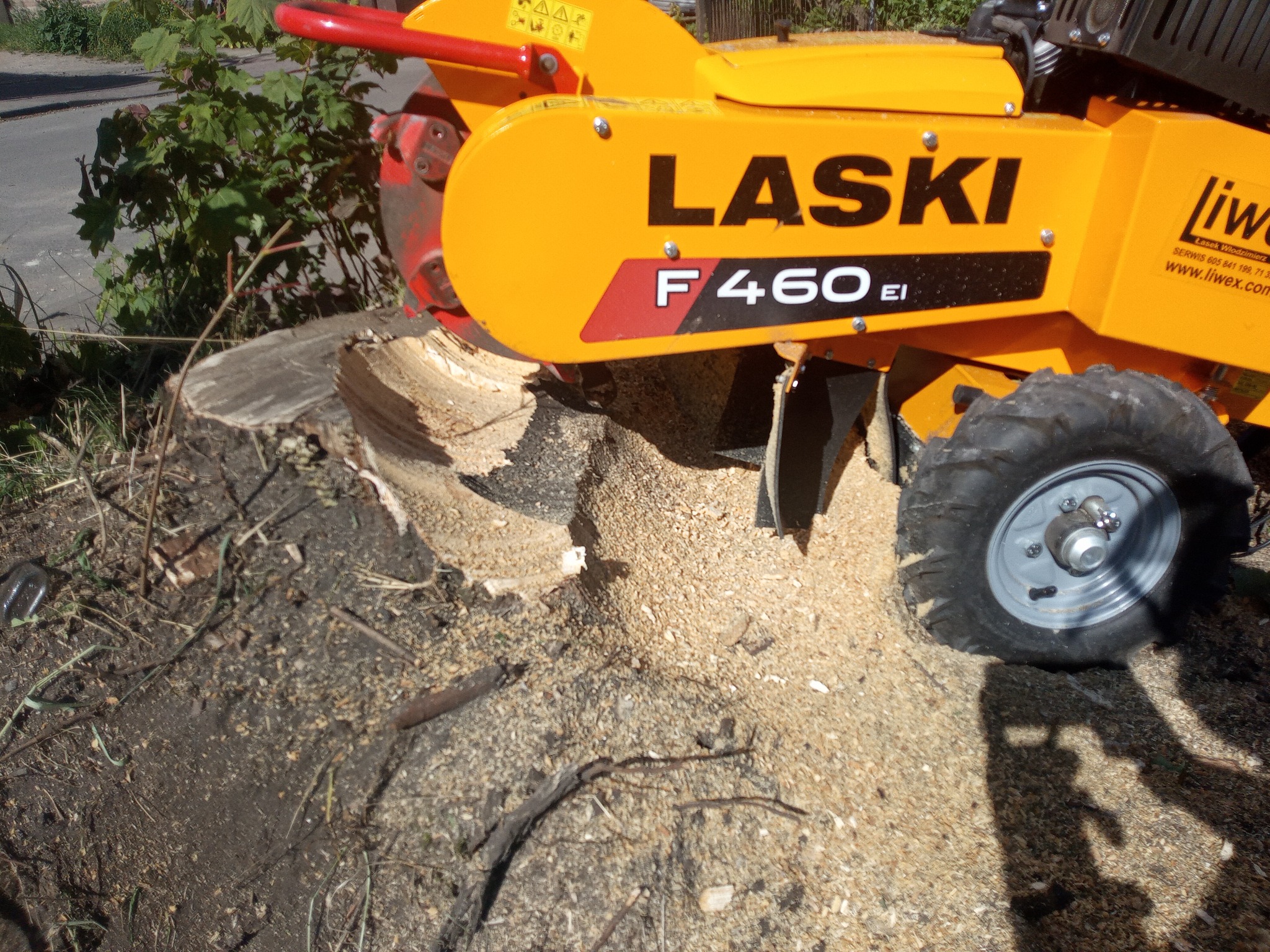 Żółta frezarka do pni drzew marki Laski F460 El, z widoczną tarczą tnącą i stertą wiórów po frezowaniu pnia, na tle zieleni i asfaltowej drogi.
