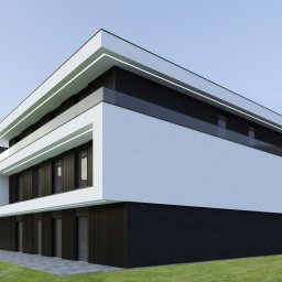 Projektowanie domów Dys 2